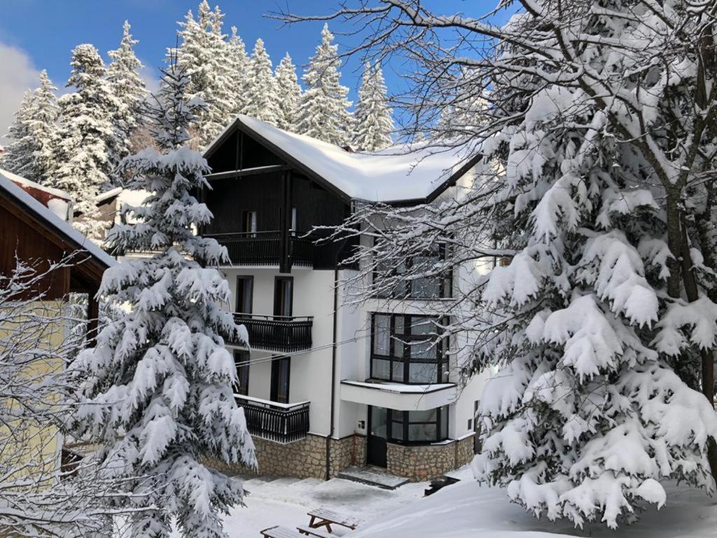 Montana Residence Пояна Брашов Екстериор снимка